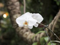 IMG 3249 : iPhoto Original
